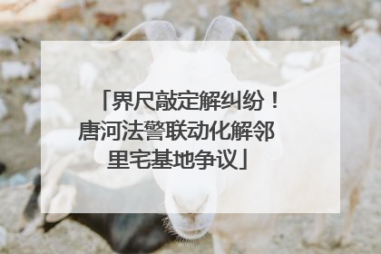 界尺敲定解纠纷！唐河法警联动化解邻里宅基地争议