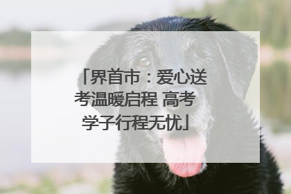 界首市：爱心送考温暖启程 高考学子行程无忧