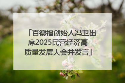 百德福创始人冯卫出席2025民营经济高质量发展大会并发言