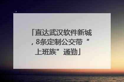 直达武汉软件新城，8条定制公交带“上班族”通勤