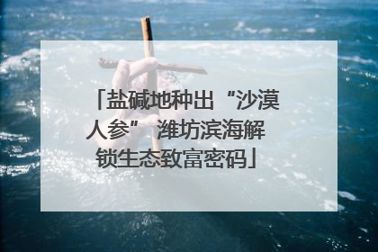 盐碱地种出“沙漠人参” 潍坊滨海解锁生态致富密码