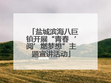 盐城滨海八巨镇开展“青春‘阅’燃梦想”主题宣讲活动