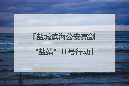 盐城滨海公安亮剑“盐靖”Ⅱ号行动