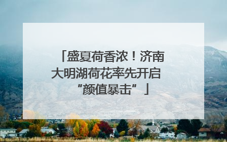 盛夏荷香浓！济南大明湖荷花率先开启“颜值暴击”