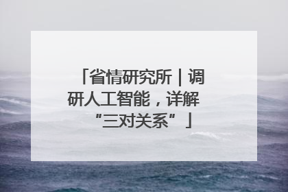 省情研究所｜调研人工智能，详解“三对关系”