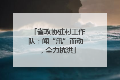 省政协驻村工作队：闻“汛”而动，全力抗洪