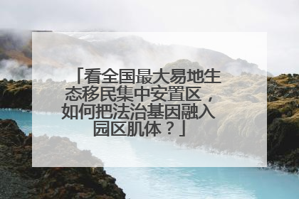 看全国最大易地生态移民集中安置区，如何把法治基因融入园区肌体？