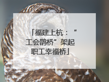 福建上杭：“工会鹊桥”架起职工幸福桥