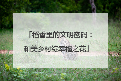 稻香里的文明密码：和美乡村绽幸福之花