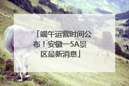 端午运营时间公布！安徽一5A景区最新消息