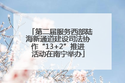 第二届服务西部陆海新通道建设司法协作“13+2”推进活动在南宁举办