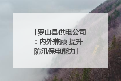 罗山县供电公司：内外兼顾 提升防汛保电能力