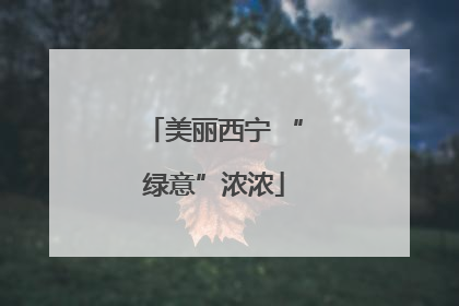 美丽西宁 “绿意”浓浓