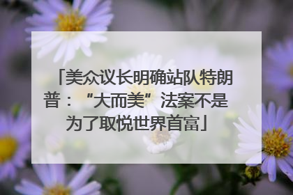 美众议长明确站队特朗普：“大而美”法案不是为了取悦世界首富