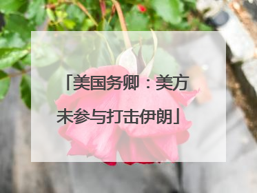 美国务卿：美方未参与打击伊朗