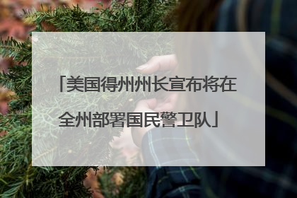 美国得州州长宣布将在全州部署国民警卫队