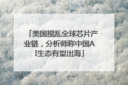 美国搅乱全球芯片产业链，分析师称中国AI生态有望出海