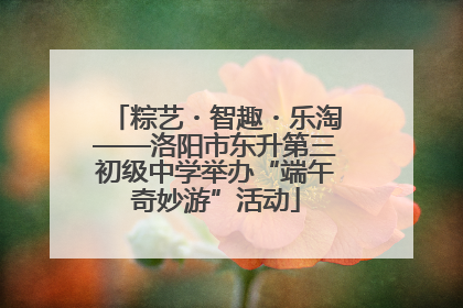 粽艺・智趣・乐淘——洛阳市东升第三初级中学举办“端午奇妙游”活动