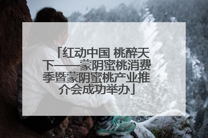 红动中国 桃醉天下——蒙阴蜜桃消费季暨蒙阴蜜桃产业推介会成功举办