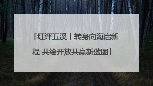 红评五溪丨转身向海启新程 共绘开放共赢新蓝图