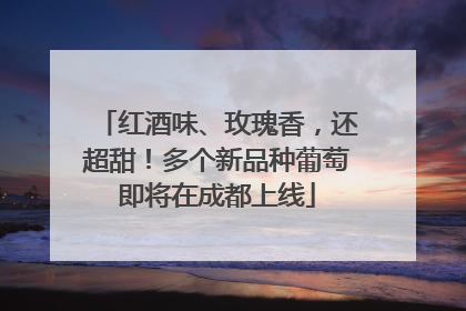 红酒味、玫瑰香，还超甜！多个新品种葡萄即将在成都上线