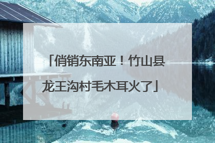 俏销东南亚！竹山县龙王沟村毛木耳火了