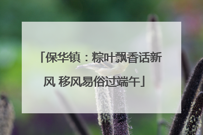 保华镇：粽叶飘香话新风 移风易俗过端午