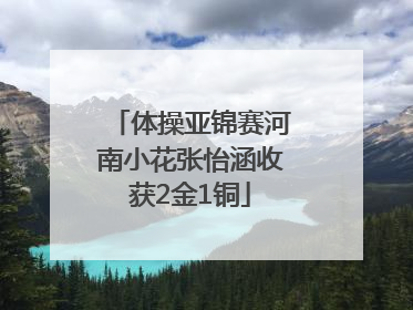 体操亚锦赛河南小花张怡涵收获2金1铜