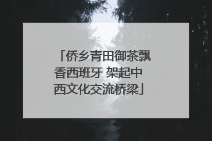侨乡青田御茶飘香西班牙 架起中西文化交流桥梁