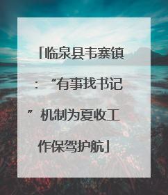 临泉县韦寨镇：“有事找书记”机制为夏收工作保驾护航