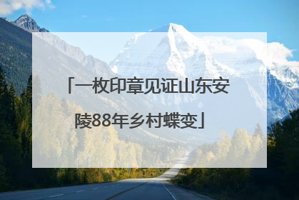 一枚印章见证山东安陵88年乡村蝶变