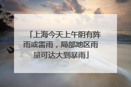 上海今天上午阴有阵雨或雷雨，局部地区雨量可达大到暴雨