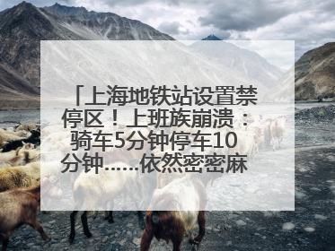 上海地铁站设置禁停区！上班族崩溃：骑车5分钟停车10分钟……依然密密麻麻无从下脚？