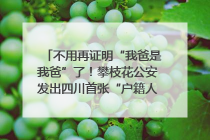 不用再证明“我爸是我爸”了！攀枝花公安发出四川首张“户籍人口直系亲属关系谱”