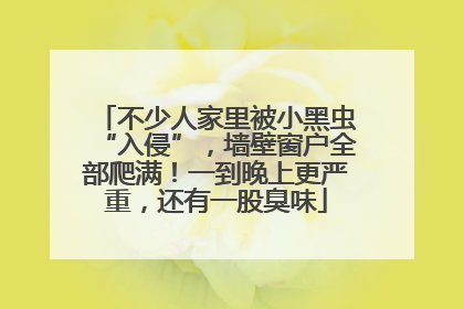 不少人家里被小黑虫“入侵”，墙壁窗户全部爬满！一到晚上更严重，还有一股臭味