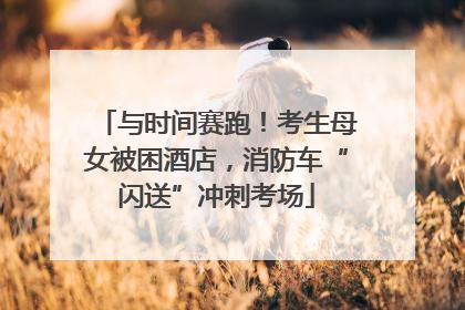 与时间赛跑！考生母女被困酒店，消防车“闪送”冲刺考场