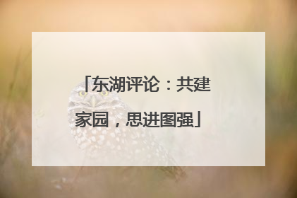 东湖评论：共建家园，思进图强
