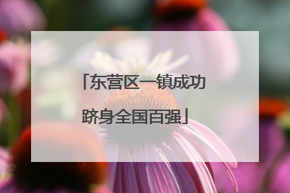 东营区一镇成功跻身全国百强