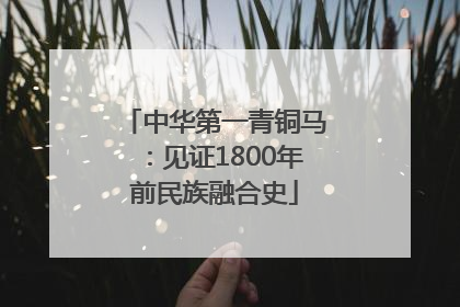 中华第一青铜马：见证1800年前民族融合史