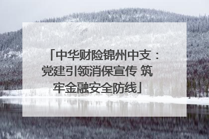 中华财险锦州中支：党建引领消保宣传 筑牢金融安全防线