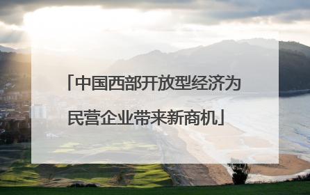 中国西部开放型经济为民营企业带来新商机