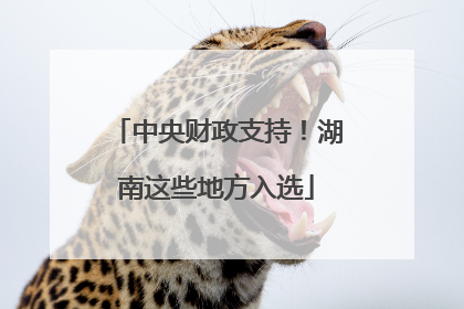中央财政支持！湖南这些地方入选