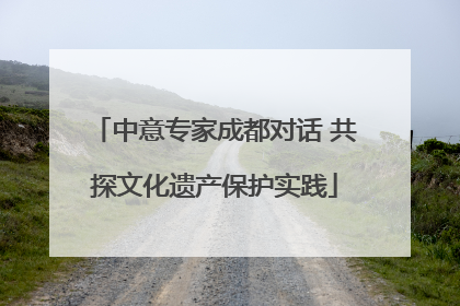中意专家成都对话 共探文化遗产保护实践
