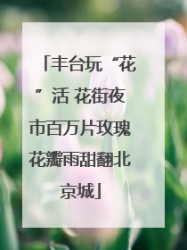丰台玩“花”活 花街夜市百万片玫瑰花瓣雨甜翻北京城
