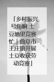 乡村振兴号角响 土豆地里竞赛忙｜曲阜市王庄镇开展土豆收获劳动竞赛