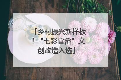 乡村振兴新样板！“七彩官畲”文创改造入选