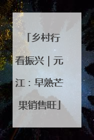 乡村行 看振兴｜元江：早熟芒果销售旺