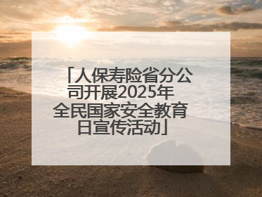人保寿险省分公司开展2025年全民国家安全教育日宣传活动