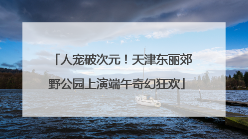 人宠破次元！天津东丽郊野公园上演端午奇幻狂欢