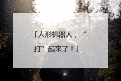 人形机器人，“打”起来了！